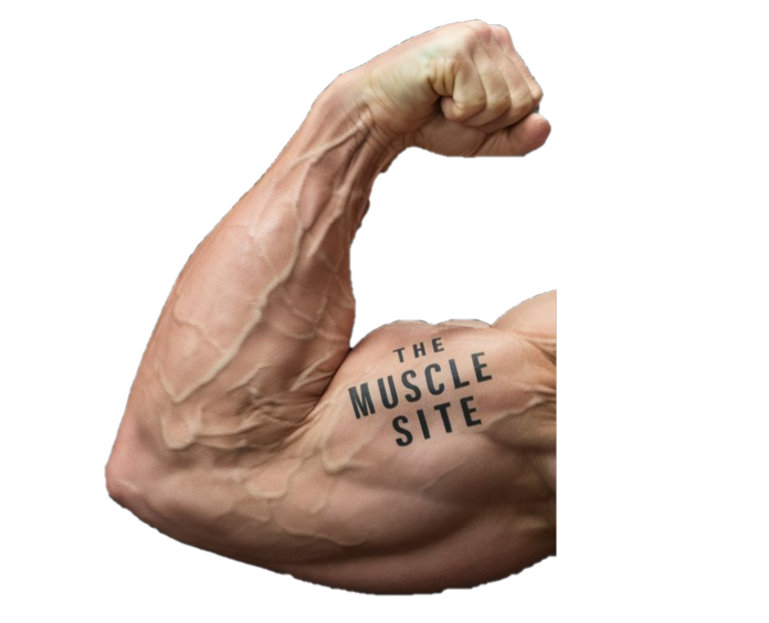 the-muscle-site